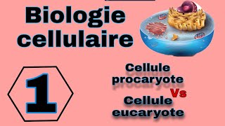 شرح بالدارجة لأول درس في Biologie cellulaire L1 Snv s1 بيولوجيا الخليةسنة الأولى تخصص بيولوجي [upl. by Ioj]