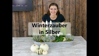 Winterzauber in Silber [upl. by Akihsat]