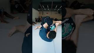 bjj jiujitsu jiu grappling nogi mma ufc jiujitsufighter oss bjjmotivation [upl. by Airamak]