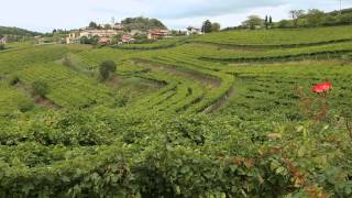 SINFONIA TRA CIELO E TERRA di Massimo Zanichelli [upl. by Yht]