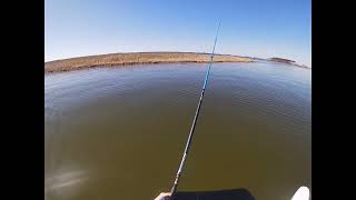 Pamlico sound fishing [upl. by Nanyk]