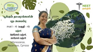 Morphology of Flowering plants  Part 6  Inflorescence  Racemose  Cymose  NEET Tamil  Biology [upl. by Punak]