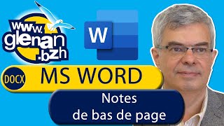 Microsoft Word  15 Notes de bas de page [upl. by Arte]