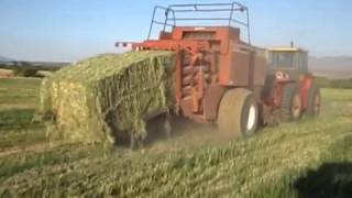 Hesston 4900 hay baler [upl. by Ordway]