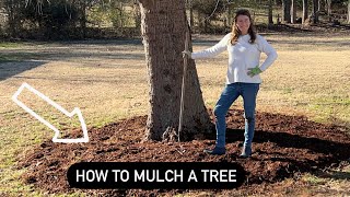 The correct way to mulch a tree [upl. by Rockefeller]