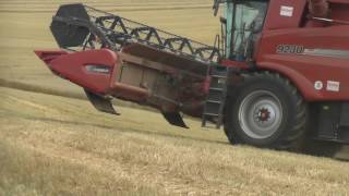 Giganten im Kornfeld Weizenernte 2016 XXL Case IH AxialFlow Mähdrescher [upl. by Haidedej341]