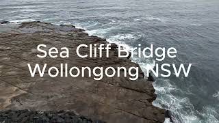 🌊🚗 Day Trip to Sea Cliff Bridge amp Aerial Views of Wollongong  NSW Australia Adventure [upl. by Fortier]