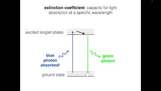 Fluorophore Brightness [upl. by Phonsa369]