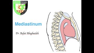 Introduction to Mediastinum [upl. by Sperling53]