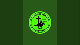 Elkhart Horse Auctions is live Saddle saleamp [upl. by Nagol124]