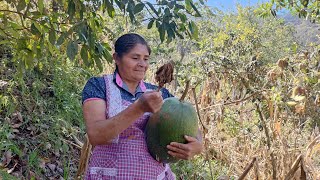 Chilacayota en dulce así preparo este rico postre en olla de barro con endulzante natural ✅ [upl. by Thun]