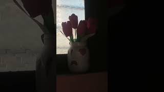 DIY vase for tulip flowers trending viralvideo diy [upl. by Akinad]