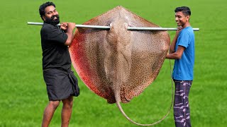 60 Kg Giant StingRay In Mud Hole  തിരണ്ടി ചുട്ട് കറിവെച്ചപ്പോൾ  M4 Tech [upl. by Maddie700]