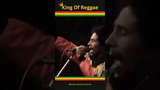 History BOB MARLEY And The WAILERS 👑  Biography  JAMAICAN FACTS  🎤🎶🎤 🛈 🇯🇲🇯🇲 reggae bobmarley [upl. by Alveta211]