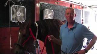 Farrier Quick Takes Red Renchin Overview Of Techniques For Lifting A Horses Foot [upl. by Dowell987]