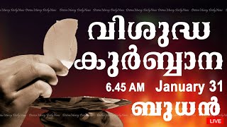 Holy Mass I Malayalam Mass I January 31 I Wednesday I Qurbana I 645 AM [upl. by Serg]