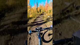 Pumpkin spice 🍁 mountainbiking mtb october fall [upl. by Sillihp83]