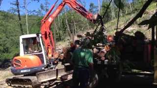 escavatore Kubota kx161 3 con pinza da Boscaiolo operatore Giancarlo Grossi Supervisore Guerrino G [upl. by Namlas]