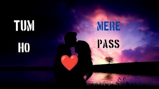 Tum Ho Mere Pass 💞 song New Hindi Song In 2024 [upl. by Bjorn617]