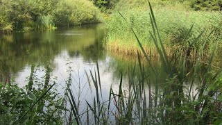 Oostkamp Moerbrugge  Natuurbeleving in de Warandeputten [upl. by Noonan]