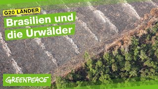 Brasilien Bedrohtes Paradies  Die G20 Länder [upl. by Enutrof]