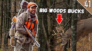 MISSOURI DEER SEASON  Public Land Gun Hunting in BIG Woods [upl. by Nahta]