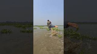 Amazing Rural Polo Fishing video✅polo fishingvillageboy fishingmethods fishingtipsandtechniques [upl. by Regni921]