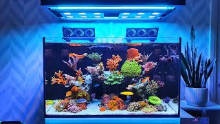 Big Changes to the Red Sea Reefer 250  Reef Tank [upl. by Blackwell]