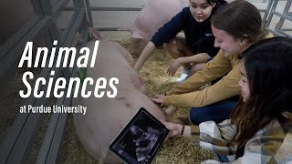 Animal Sciences Explore the Possibilities in Purdue Agriculture [upl. by Selim]