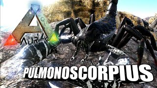 Taming A Pulmonoscorpius  Ark Survival Evolved  The Island [upl. by Suiremed]