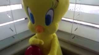 TwEEtY SinGINg quotDo YoU LoVE Mequot [upl. by Acireed597]