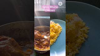 bhunachickenmasalaspicychickencurrynonvegcuisinehayzalcooking [upl. by Eednus]