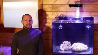 Installatie GHL Mitras LX7 amp opstart aquarium [upl. by Sillert]