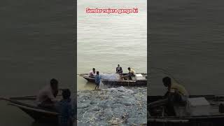 shorts ganga kinare mora gao hoyoutubeshorts song [upl. by Aicenav]