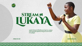 Watch Stream Of Life perform at Lukaya [upl. by Bleier]