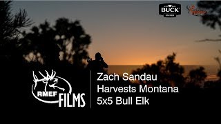 Zach Sandau Harvests Nice Montana 5x5 Bull Elk [upl. by Urd533]