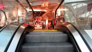 Schindler escalators in shopping mall [upl. by Coltson]