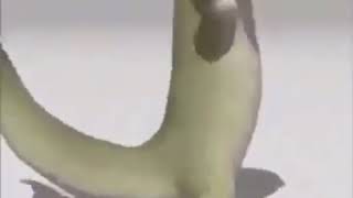 Lizard dancing too Samsung alarm ear rape [upl. by Dede314]