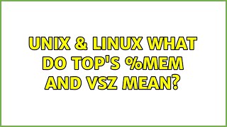 Unix amp Linux What do tops MEM and VSZ mean 2 Solutions [upl. by Gadmon]