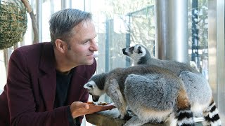 TVMEDIA Backstage SetVisit „Blind ermittelt“  Tiergarten Schönbrunn Wien [upl. by Attennhoj373]