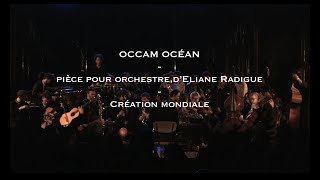 Eliane RADIGUE  OCCAM OCEAN  ONCEIM excerpt [upl. by Iinde]