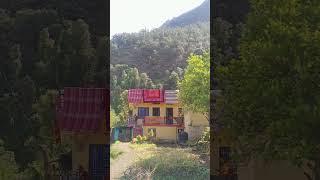 Narendra Singh Negi old song WhatsApp status narendrasinghnegisong pahadi song [upl. by Theresina584]