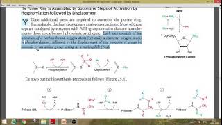 De novo Purine Biosynthesis and regulation [upl. by Atiekram]