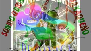 Mix los Mitla tropicos Sonido Qdrin [upl. by Lydell947]