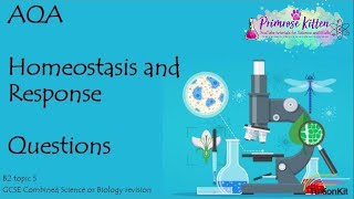 HOMEOSTASIS AND RESPONSE AQA B2 Topic 5 Quick Fire Questions 91 GCSE Biology or Combined Science [upl. by Arianne]