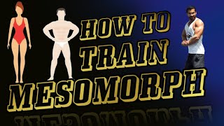 How To Train Mesomorph [upl. by Bullough]