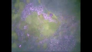 Hangflug in WasserkuppeRhÃ¶n mit FlyCam2 [upl. by Supmart]