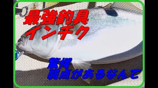 驚愕 インチクの弱点があった 松山沖釣果情報 [upl. by Ron]