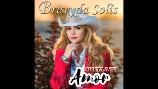 Briseyda Solis  Adicta a Tu Amor Audio Oficial [upl. by Yessac]