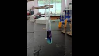 Protein Test  Egg Albumin Biuret Test Xanthoproteic Test millons Reagent Test  class 12 CBSE [upl. by Magnuson700]